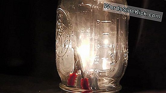 You Do It: Make Your Own Light Bulb