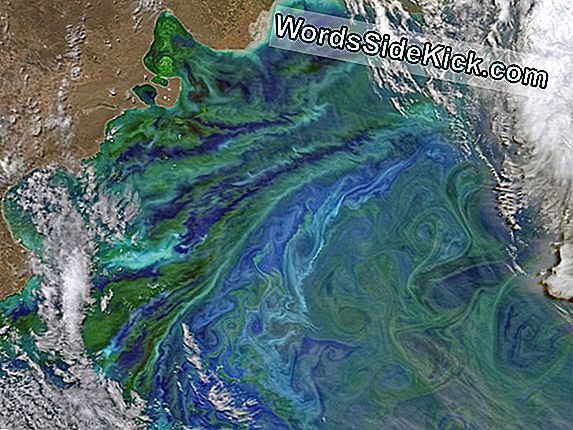 Satellieten Bespieden Duizenden Oude Menselijke Nederzettingen