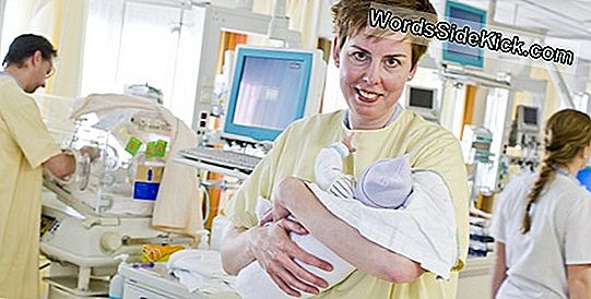 Baby'S Worden Geboren Met Enig Zelfbewustzijn