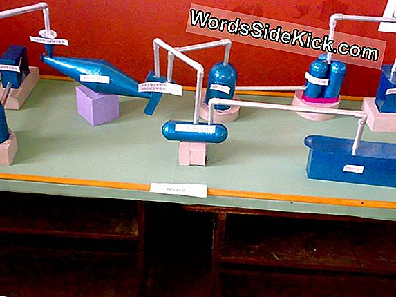 Science Experiment For Kids: Seeing Your Dna