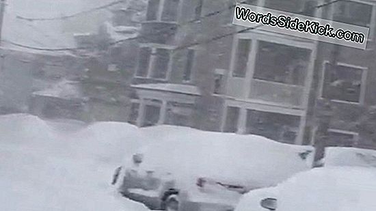 Blizzard Buries Kansas Sneeuwstormrecord