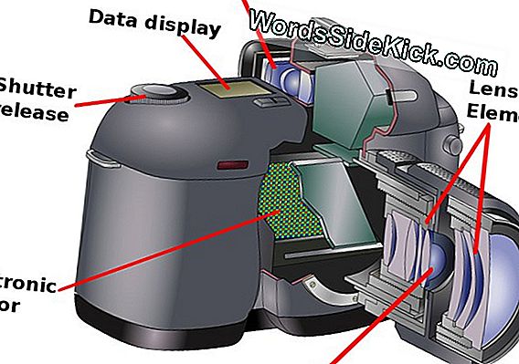 Hoe De Human / Computer Interface Werkt (Infographics)