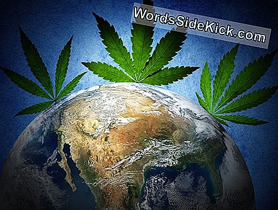 Marijuana'S History: How One Plant Spread Through The World