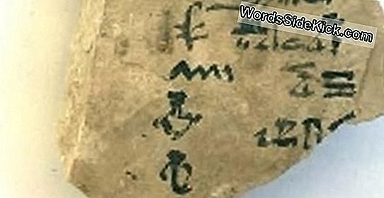 Oud Egyptisch Handboek Van Ontcijferde Spreuken