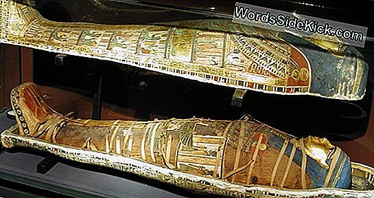 Million-Mummy Cemetery Opgegraven In Egypte