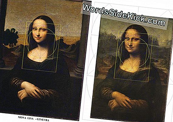 Vanishing Da Vinci Portrait Could Be Saved By Science