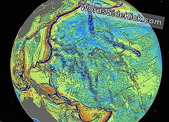Geological Wonderland: Duizenden Bergplaatsen Ontdekt Op Nieuwe Zeebodemkaart