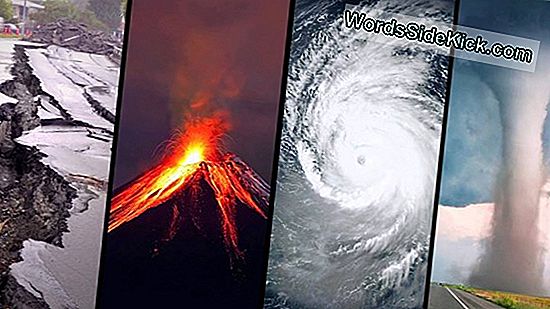Nature'S Fury: Gripping Images Of Natural Disasters