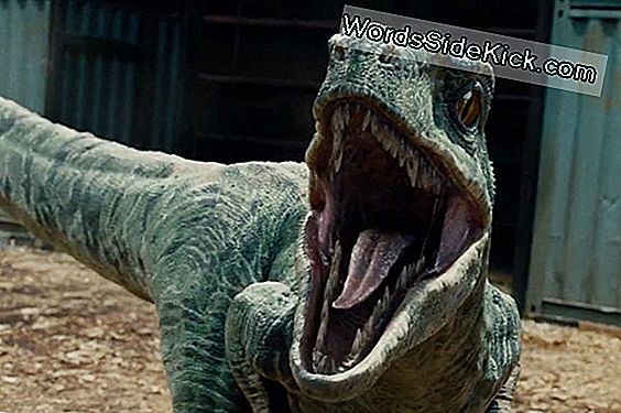 'Jurassic World' Guesses On Dinosaur Sounds, Experts Say