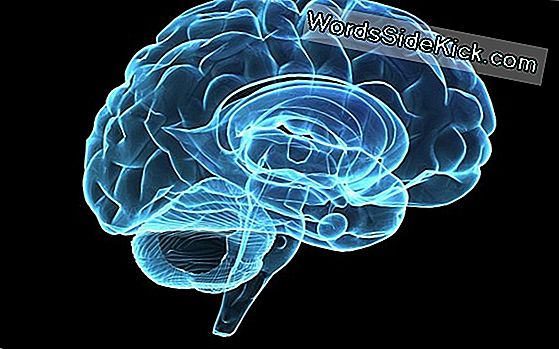 Veel Mentale Stoornissen Beïnvloeden Dezelfde Hersengebieden
