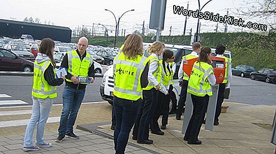 Gerichte Darmmicroben Kunnen Het Risico Op Hartziekten Verlagen