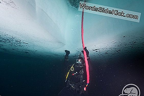 Artifacts Of Doom: Relics From Arctic Shipwreck Unveiled