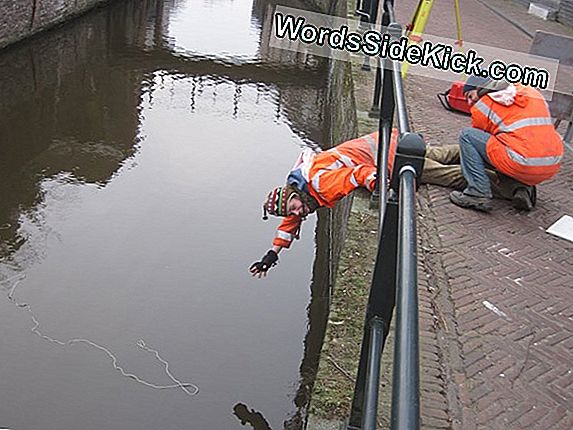 Het Verleden Opgraven In 2016: Wat Archeologen Verwachten Te Vinden