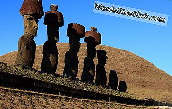 De Demise Van Easter Island Heeft Een Verrassende Nieuwe Uitleg
