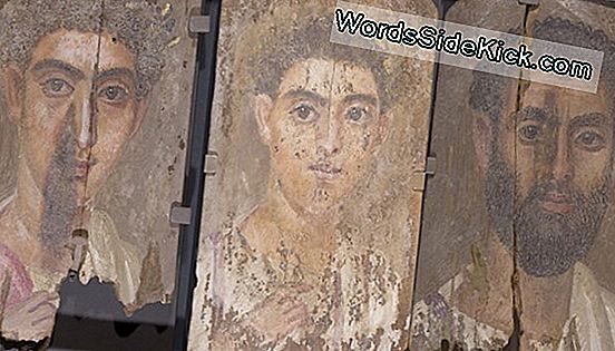 Hidden Blue Paint Found In Ancient Mummy Portraits