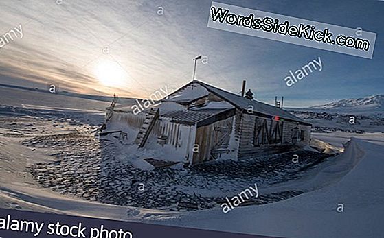 In Afbeeldingen: Antarctica Robert Falcon Scott'S Laatste Foto'S