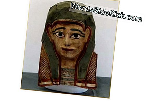 Mummiemasker Mag Het Oudste Bekende Evangelie Onthullen