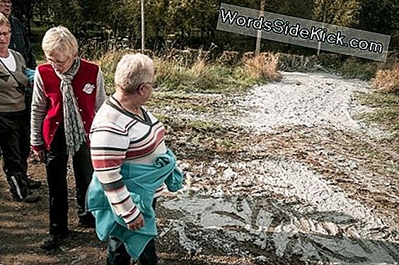 Herkomst Van Mysterieuze 'Cannon Earthquakes' In De Rode Zee Gevonden