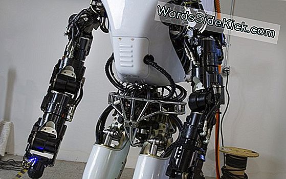 Darpa Reviseert De 'Atlas'-Robot Vóór De Competitie Deze Zomer