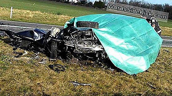 Dodelijke Sprongdag Tornado Was Zeldzaam En Krachtig Ef-4