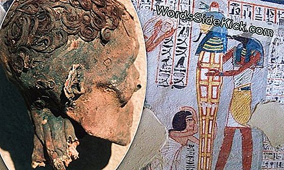 Mummies Reveal Egyptians Styled Hair With 'Product'