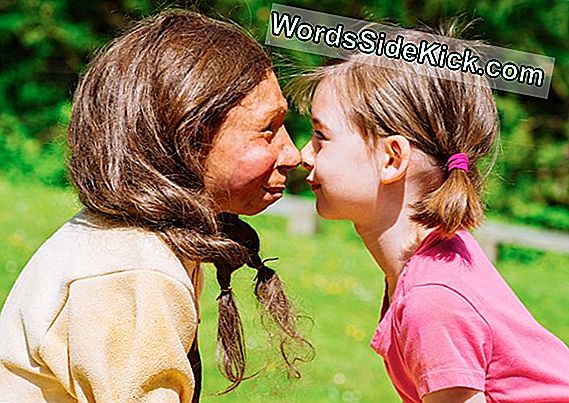 Neanderthaler-Menselijke Sex Zelden Geproduceerd Kinderen, Studie Suggereert