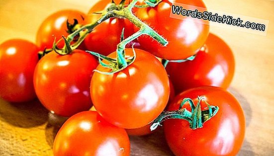 Zomerrecepten Voor De Gezondheid: Biologische Tomaten