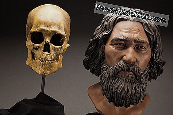 Oude Amerikaan: Kennewick Man'S Tribal Links Bevestigd