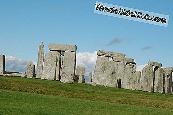 Oude Weg Die Leidt Naar Stonehenge Gevonden