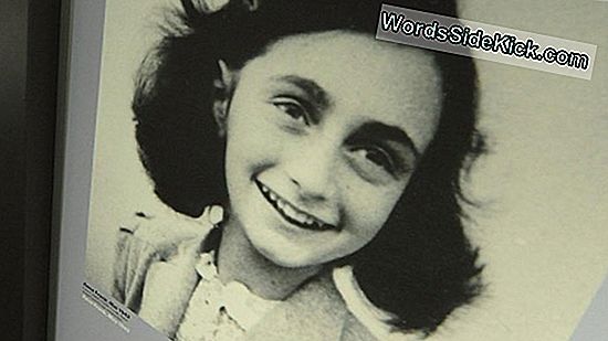 Anne Frank Is Waarschijnlijk Eerder Gestorven Dan Geloofd