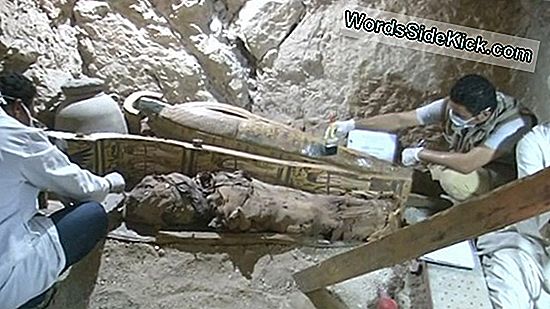 Egyptische Mummies Bevatten Aanwijzingen Voor Oude Luchtvervuiling