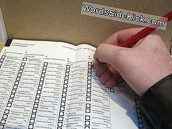Election Day 2016: Hoe Worden De Stemmen Geteld?