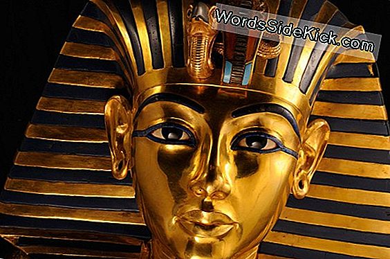 Tutankhamun: The Life & Death Of The Boy Pharaoh