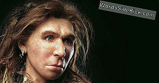 Dna-Bewijs: Neanderthalers Hadden Seks Met Mensen
