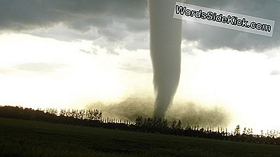 Kunnen Tornado'S Dezelfde Plek Tweemaal Raken?