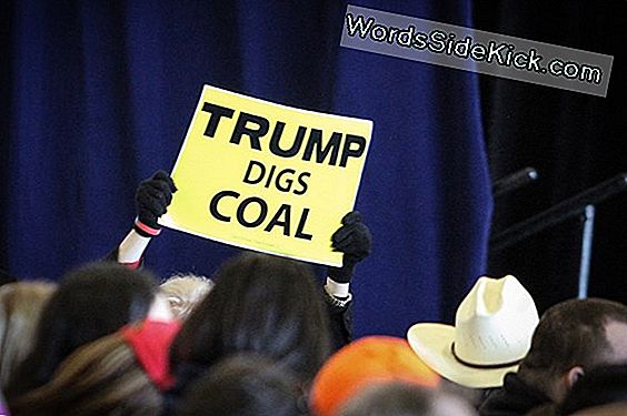 Donald Trump'S Clean-Coal Response Mist Mark, Zeggen Experts