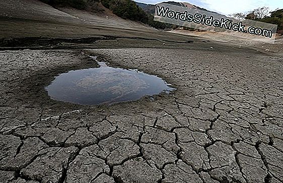 Droogte Verlaat Texas Lake Een Geest Van Zijn Vroegere Zelf