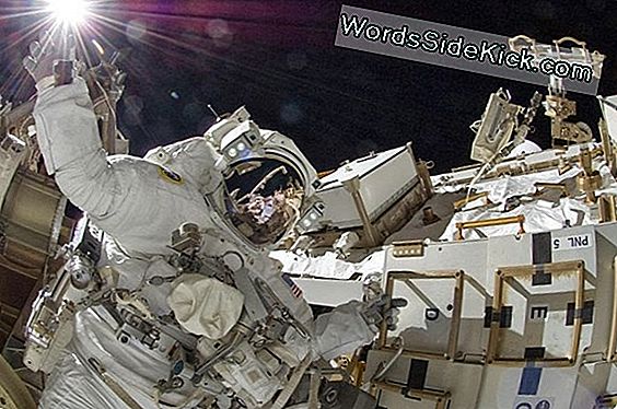 Earth Hour From Space: Astronaut To Participate In Orbit