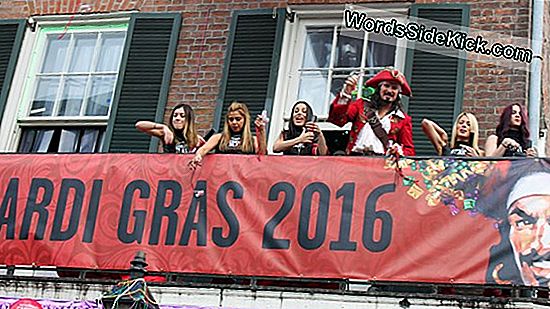 Happy Mardi Gras: New Orleans Van Boven