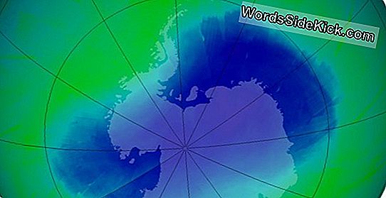 Leidt Het Ozongat In De Zuidpool Naar Opwarming?