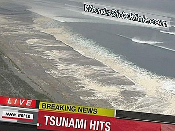 Japan Tsunami Brak Gigantische Ijsbergen Af ​​Van Antarctica