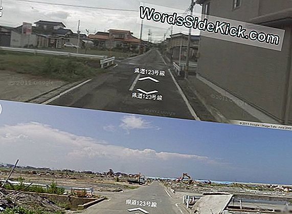 3D-Kaart Van Japan Tsunami Gemaakt Met Lasers