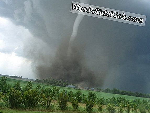 Tornado-Clusters Worden Dodelijker En Meer Algemeen