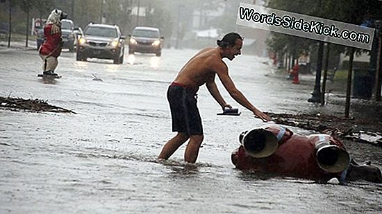 Tropische Storm Florence Sluit Zich Aan Bij Ernesto In De Atlantische Oceaan