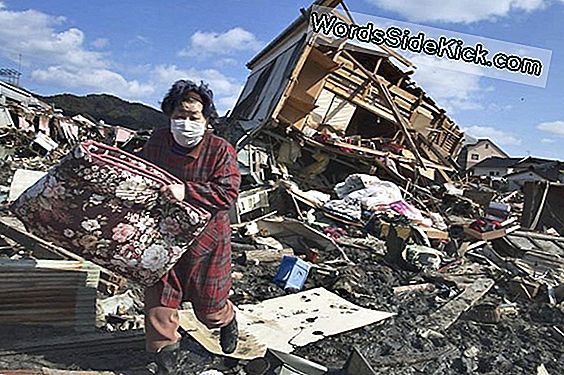 Tsunami Hits Japan Na Massive 8.9 Aardbeving