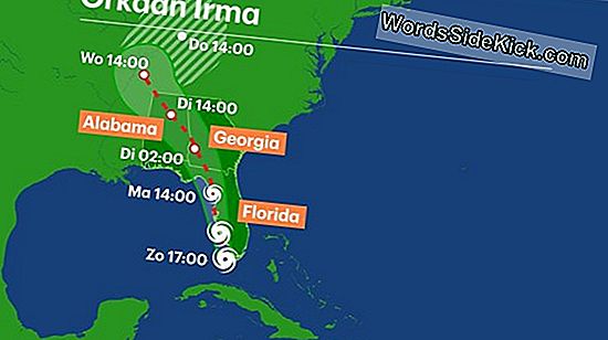 Waar Zal Orkaan Irma Aan Land Komen?