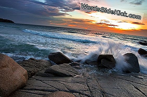 döda havet naglar döda havet naglar