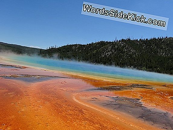 Wat Maakt Yellowstone'S Hot Springs Zo Kleurrijk?