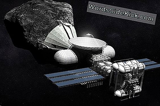 Verzet Asteroid Mining Space Law?