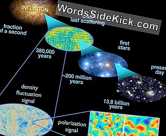 Boekfragment: 'Now: The Physics Of Time' (Vs 2016)